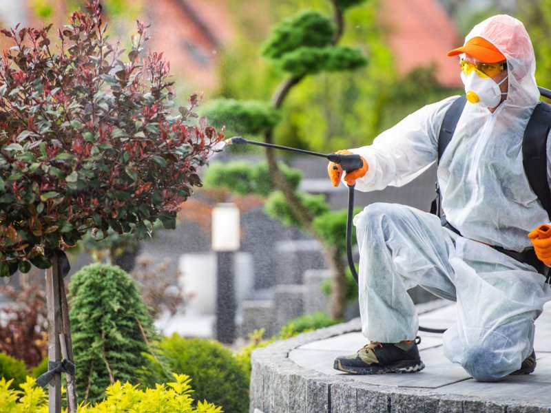 Gölova Haşere İlaçlama